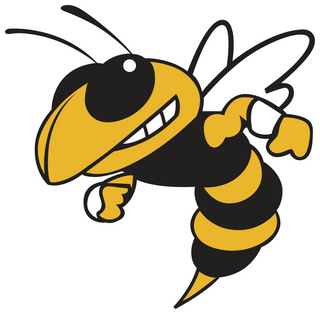 McAdory High School logo
