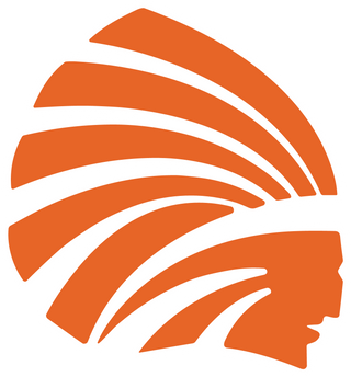 Dyer County High School logo