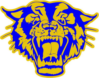 Raymondville High School
