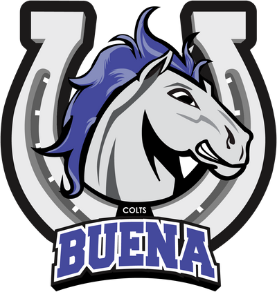 Buena High School