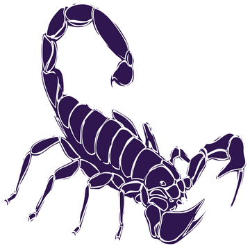 Sedona Red Rock High School logo