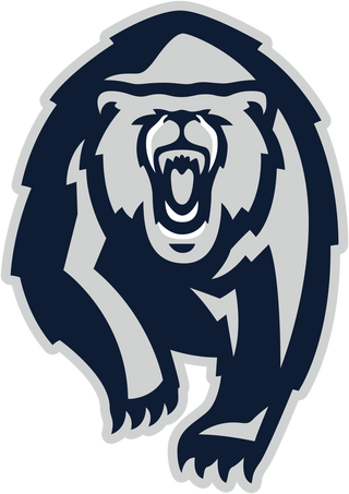 Copper Hills High School logo