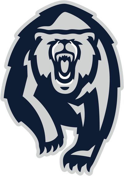 Copper Hills High School