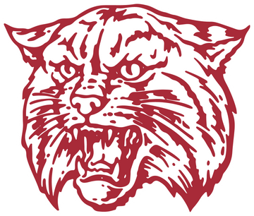 Saks High School logo