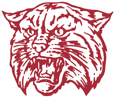 Saks High School