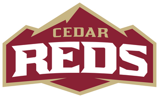 Cedar High School logo