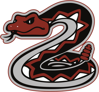 Desert Oasics High School logo