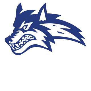 Basic Academy logo