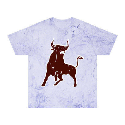 Color Blast School Spirit Tee