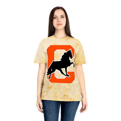 Color Blast School Spirit Tee