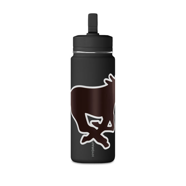 Mini Water Bottle, 20oz