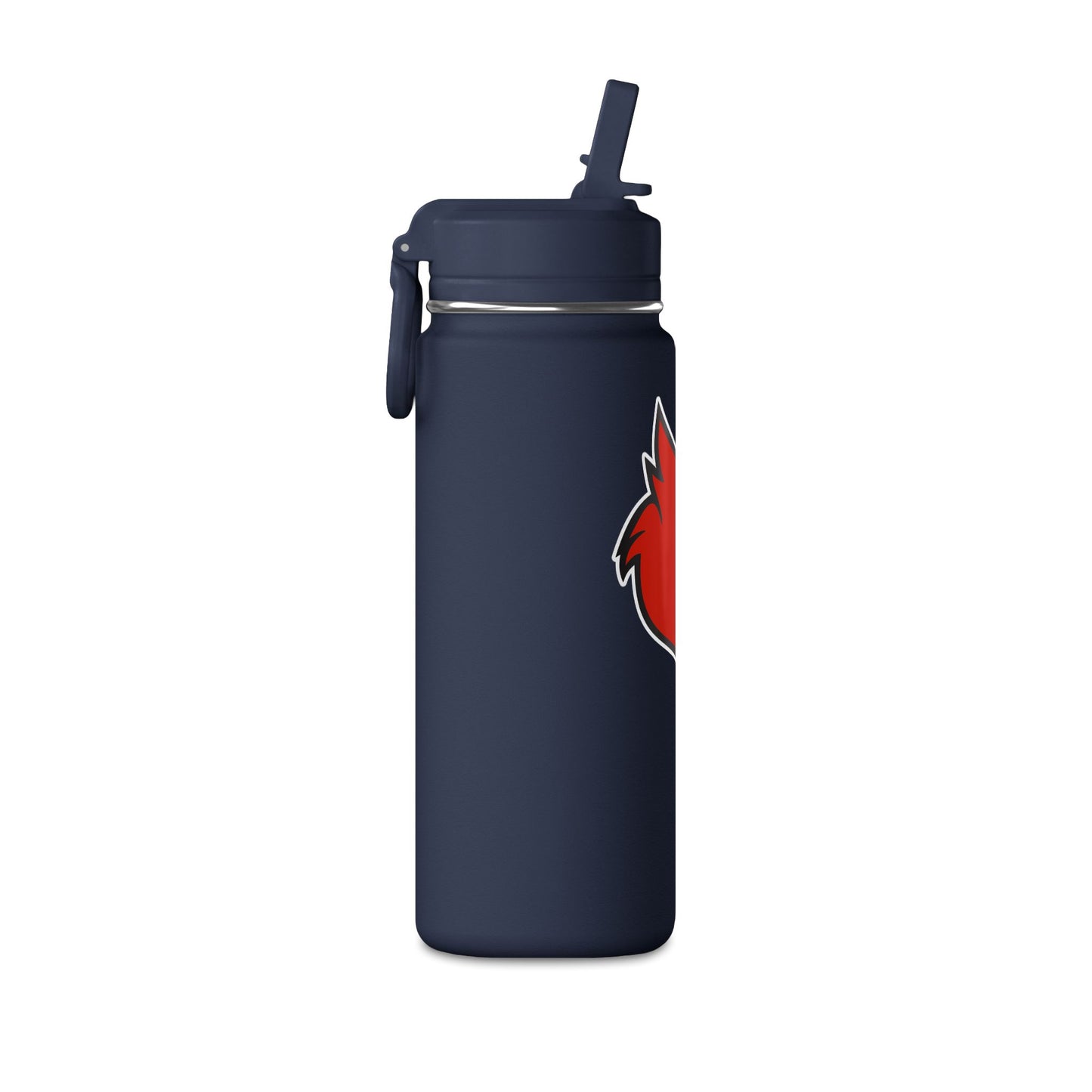 Mini Water Bottle, 20oz