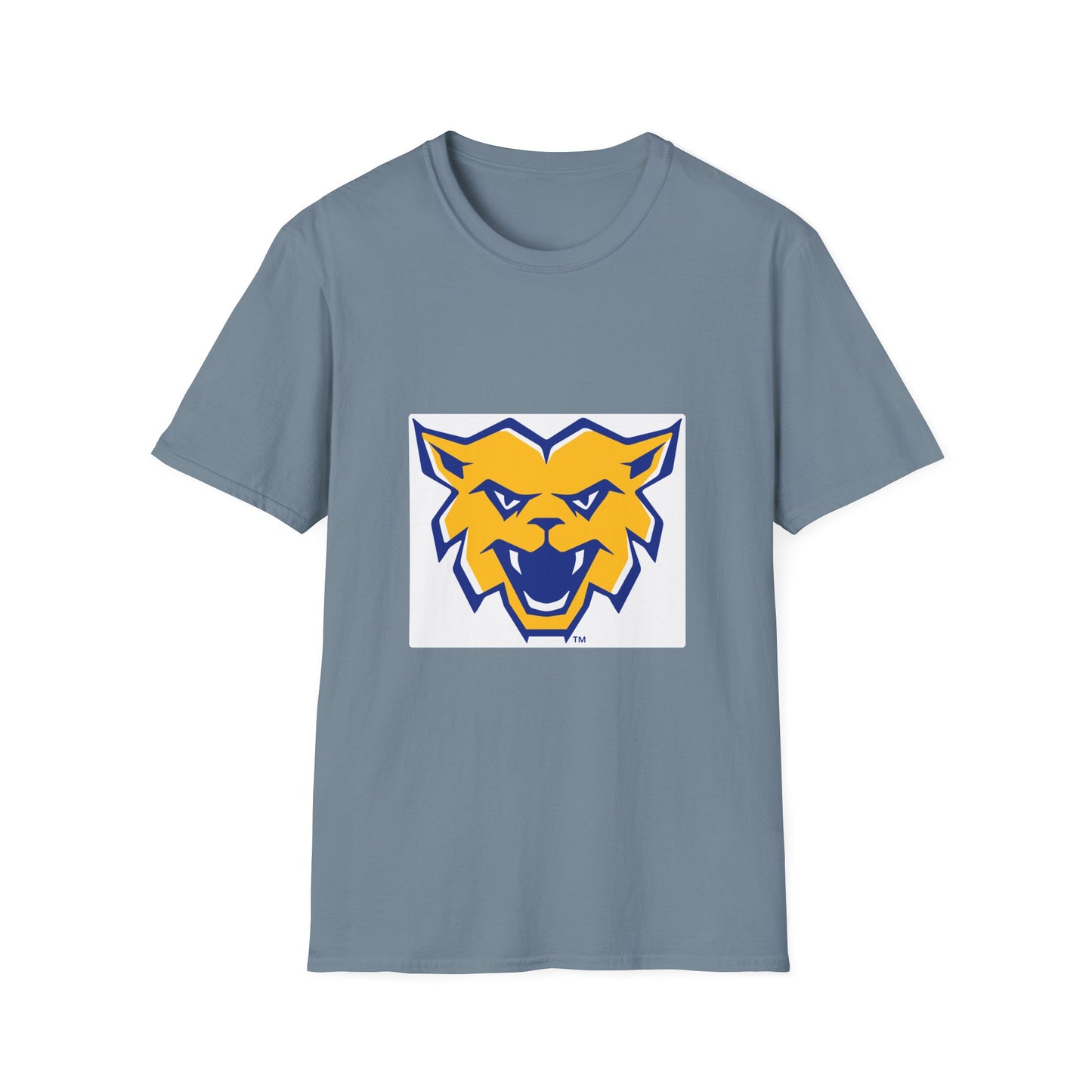 Softstyle T-Shirt