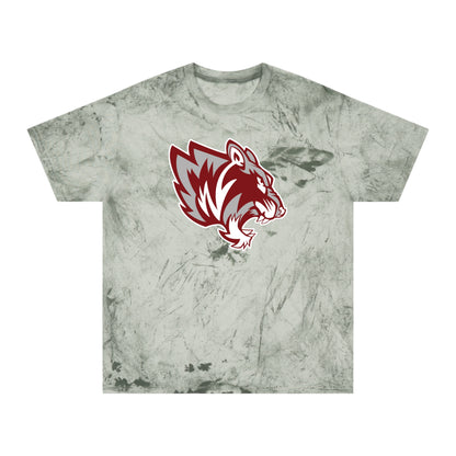 Color Blast School Spirit Tee