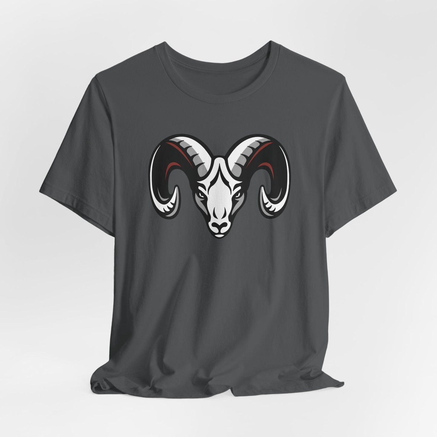 Jersey Short Sleeve Tee