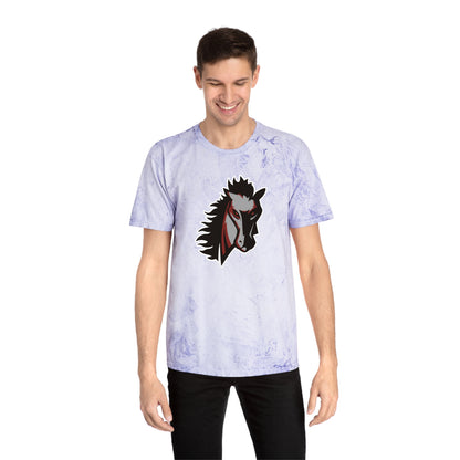 Color Blast School Spirit Tee