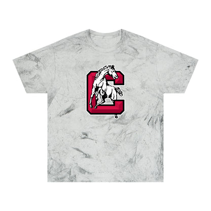 Color Blast School Spirit Tee
