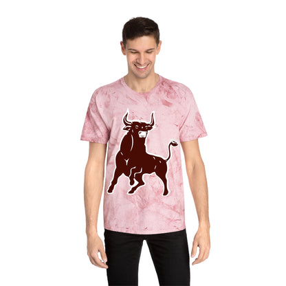 Color Blast School Spirit Tee