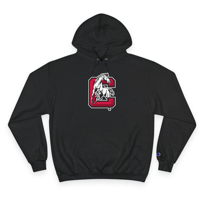 Champion Powerblend Fleece Pullover Hoodie