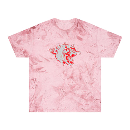 Color Blast School Spirit Tee
