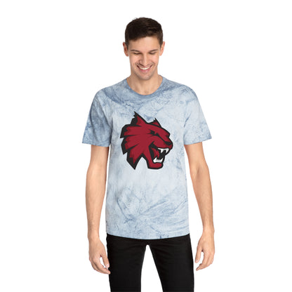 Color Blast School Spirit Tee