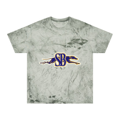 Color Blast School Spirit Tee