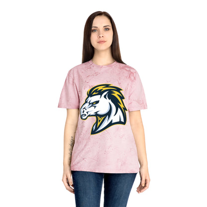 Color Blast School Spirit Tee