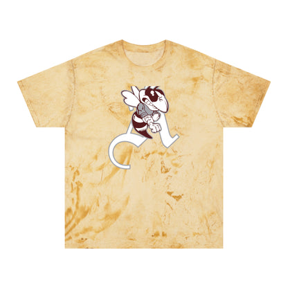 Color Blast School Spirit Tee