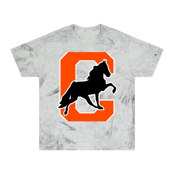 Color Blast School Spirit Tee
