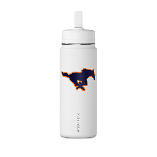 Mini Water Bottle, 20oz
