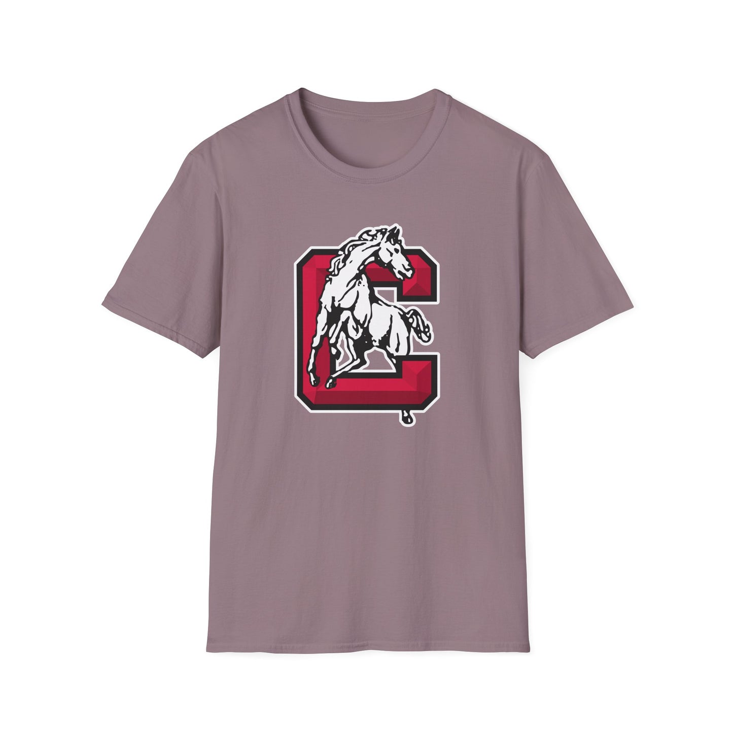 Softstyle T-Shirt