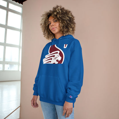 Champion Powerblend Fleece Pullover Hoodie