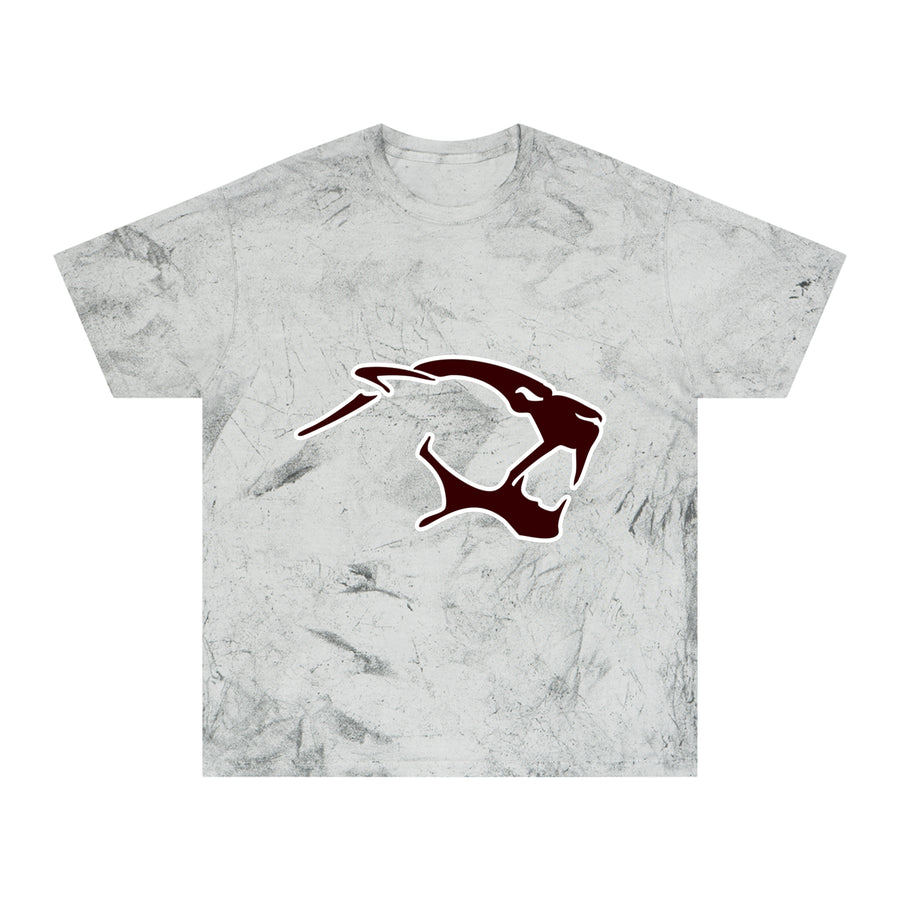 Color Blast School Spirit Tee