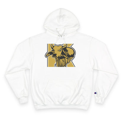 Champion Powerblend Fleece Pullover Hoodie