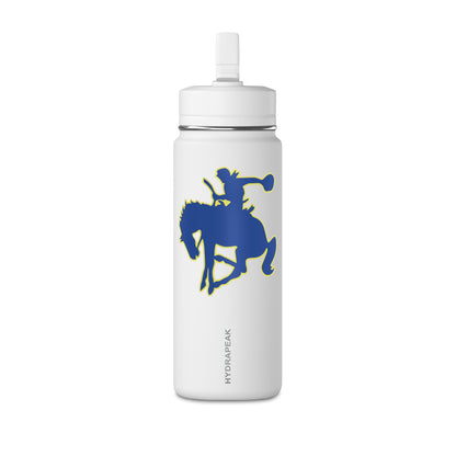 Mini Water Bottle, 20oz