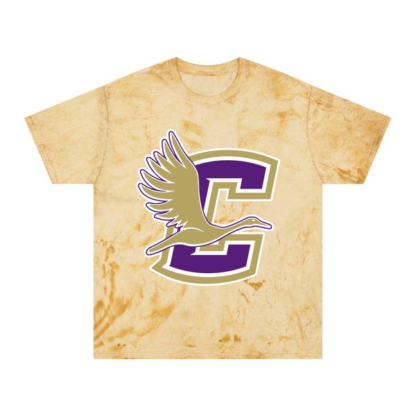 Color Blast School Spirit Tee