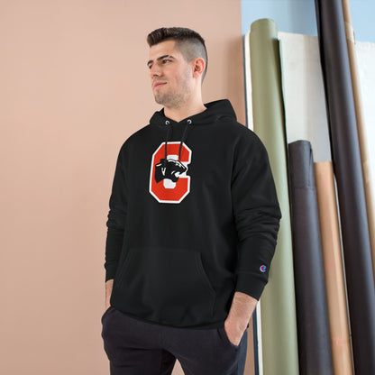 Champion Powerblend Fleece Pullover Hoodie
