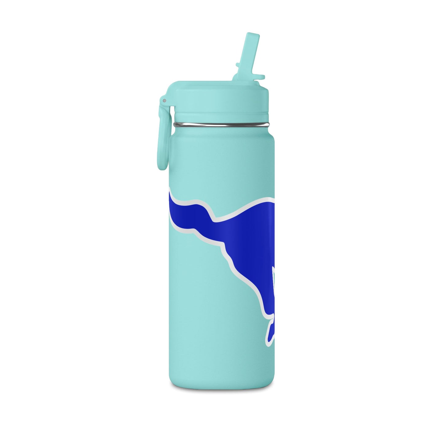 Mini Water Bottle, 20oz