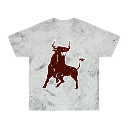Color Blast School Spirit Tee
