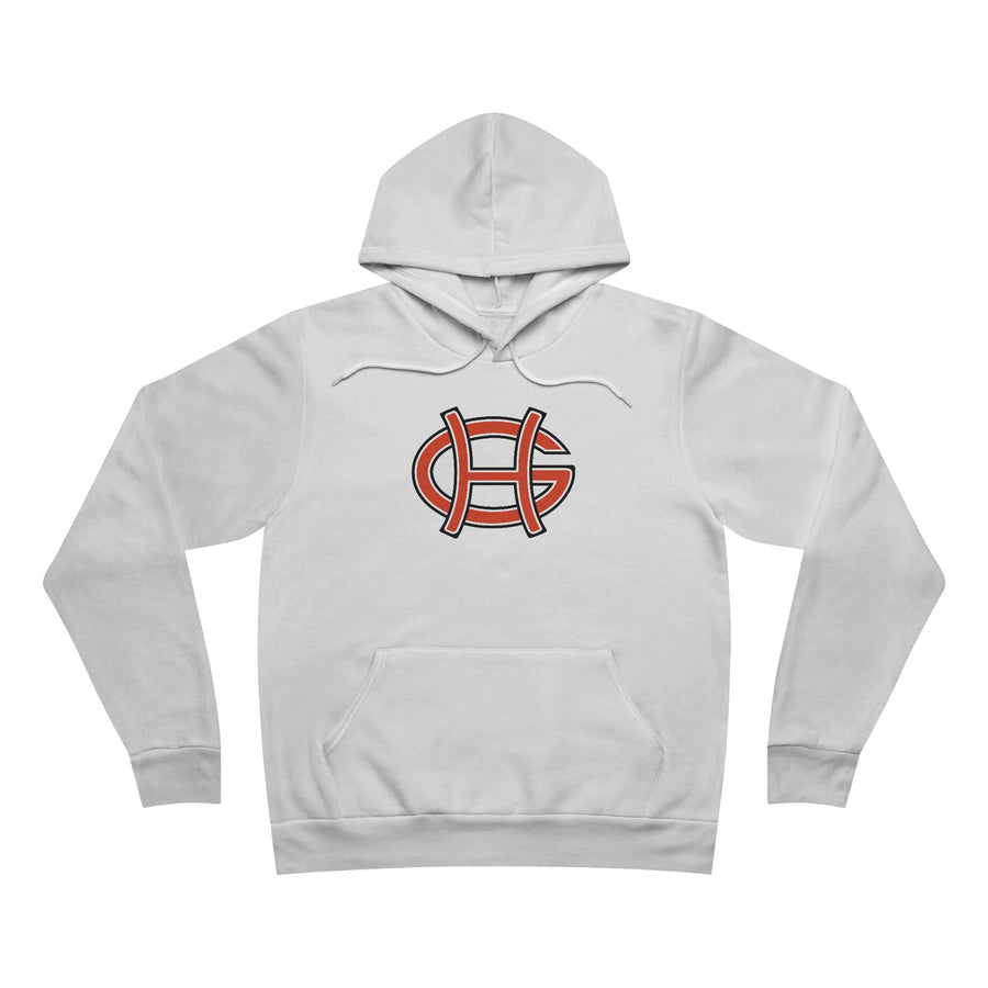 Sponge Fleece Pullover Hoodie