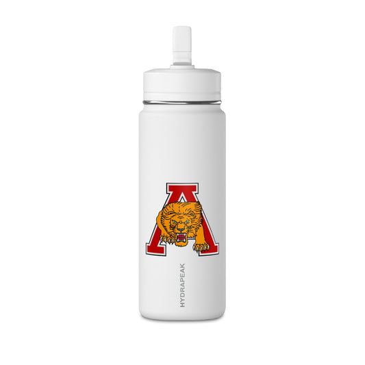 Mini Water Bottle, 20oz