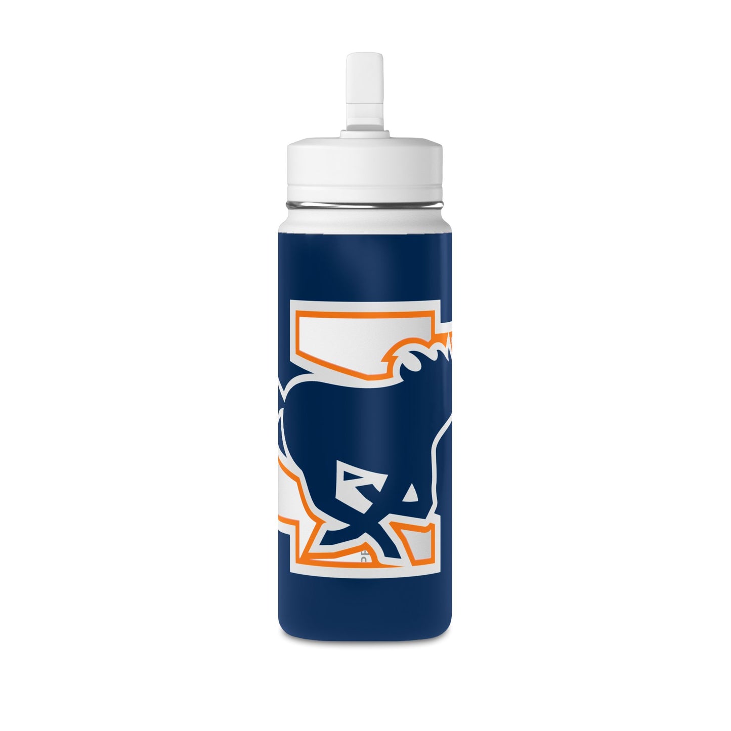 Mini Water Bottle, 20oz