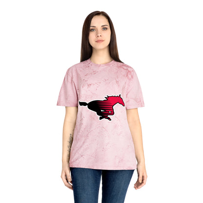 Color Blast School Spirit Tee