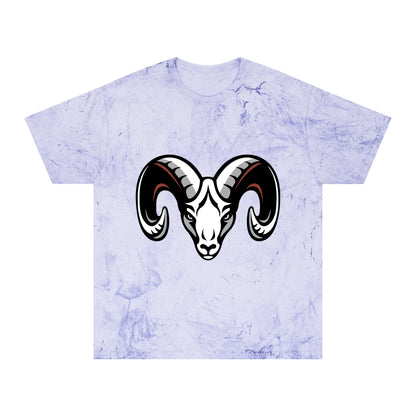 Color Blast School Spirit Tee