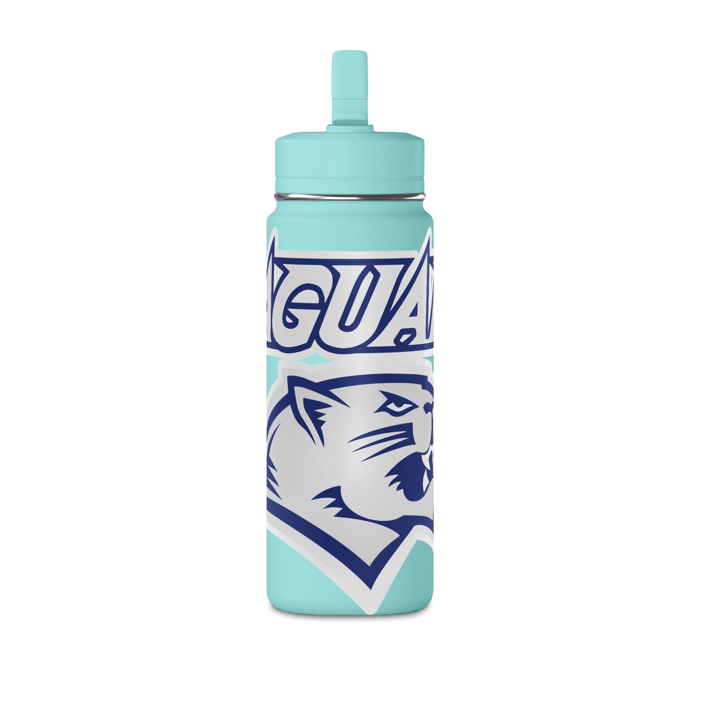 Mini Water Bottle, 20oz