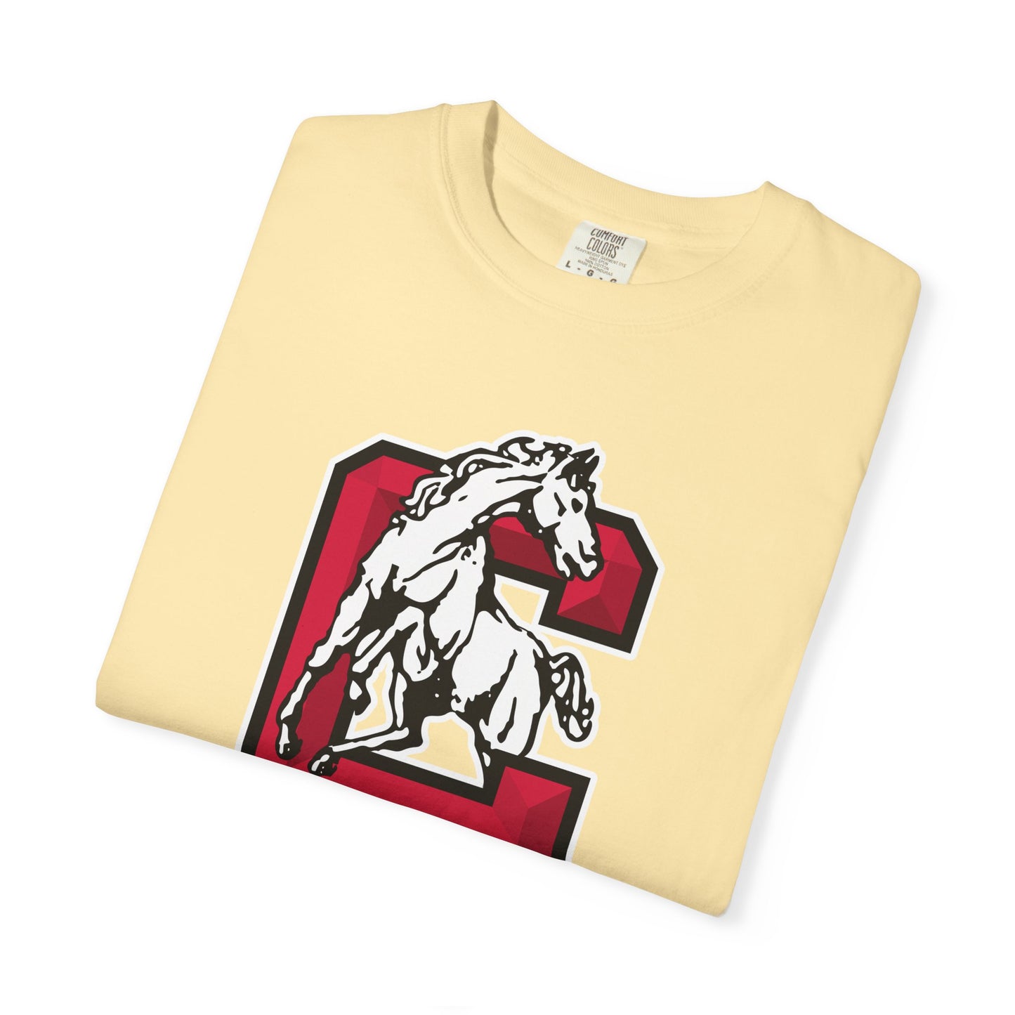 Garment-Dyed T-Shirt