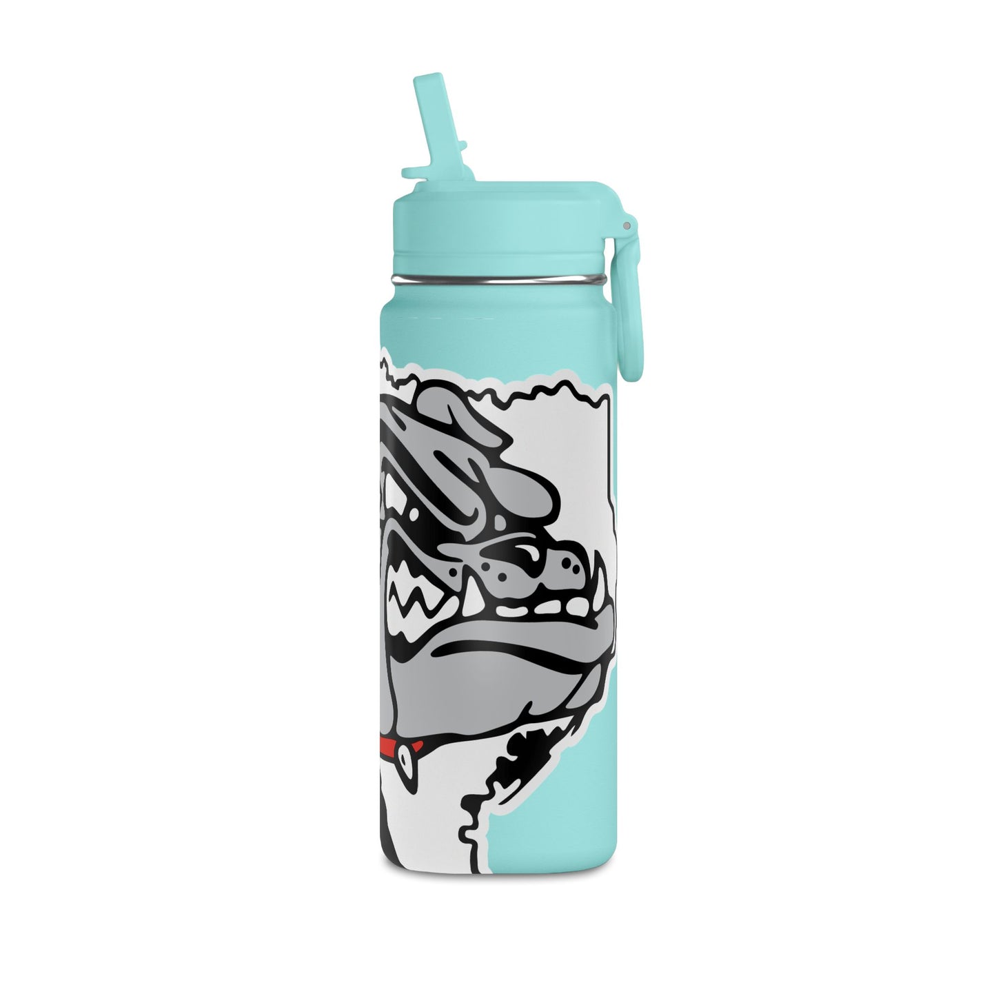 Mini Water Bottle, 20oz