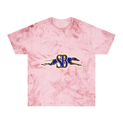 Color Blast School Spirit Tee