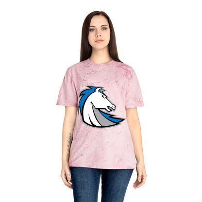 Color Blast School Spirit Tee