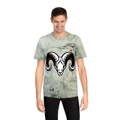 Color Blast School Spirit Tee